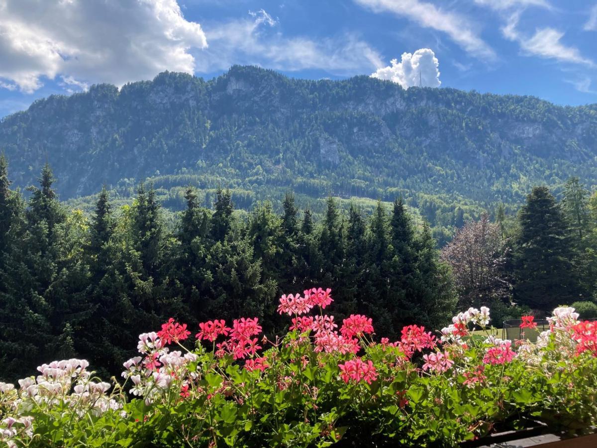 אונטראך אם אטרזה Ferienwohnung Mit Seeblick, Unterach Am Attersse מראה חיצוני תמונה